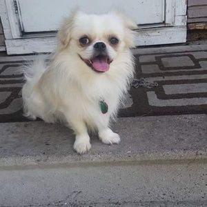 Meet your Posher, Tina